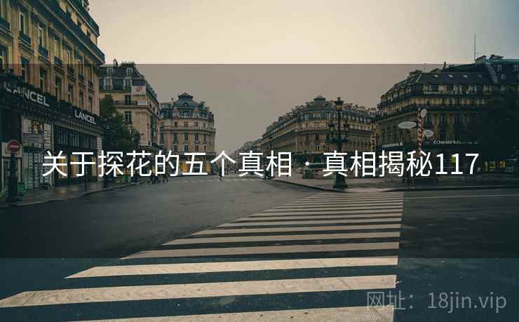 关于探花的五个真相 · 真相揭秘117  第1张