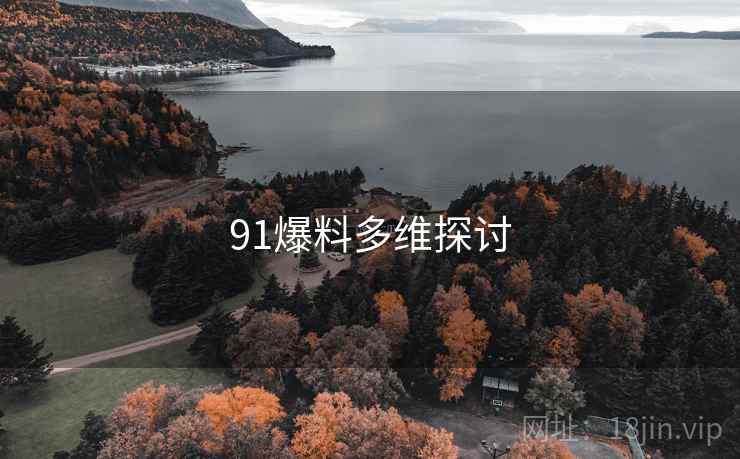 91爆料多维探讨
