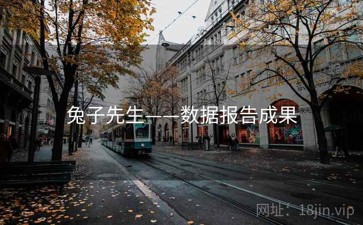 兔子先生——数据报告成果