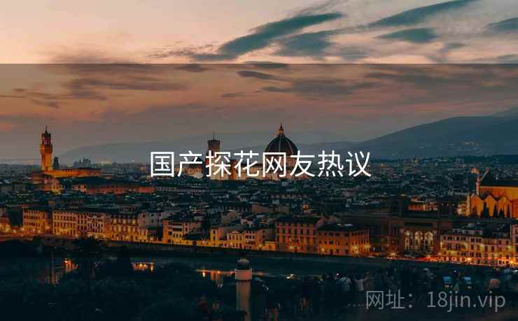 国产探花网友热议  第2张