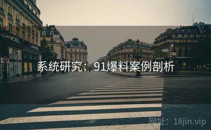 系统研究：91爆料案例剖析  第1张