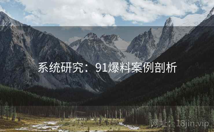 系统研究：91爆料案例剖析  第2张