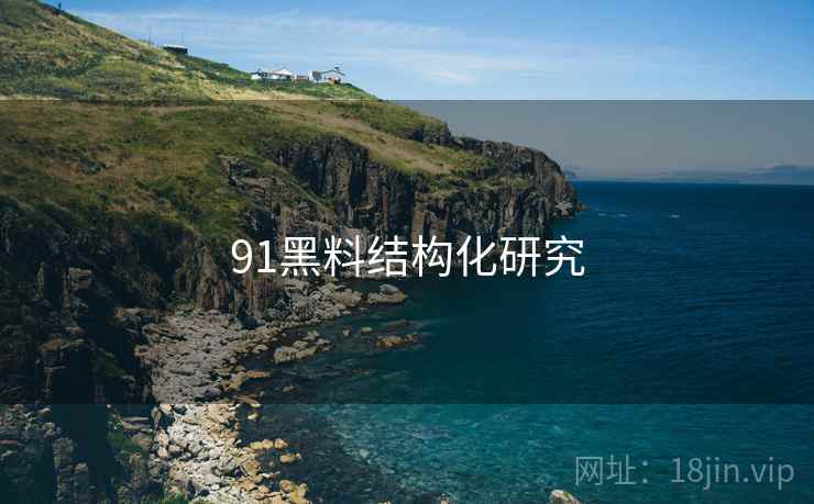 91黑料结构化研究