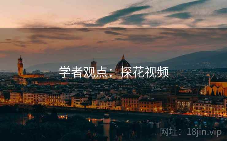 学者观点：探花视频