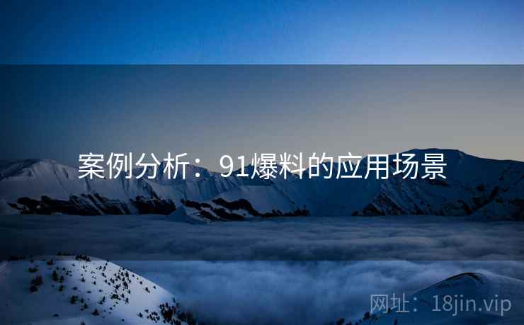 案例分析：91爆料的应用场景