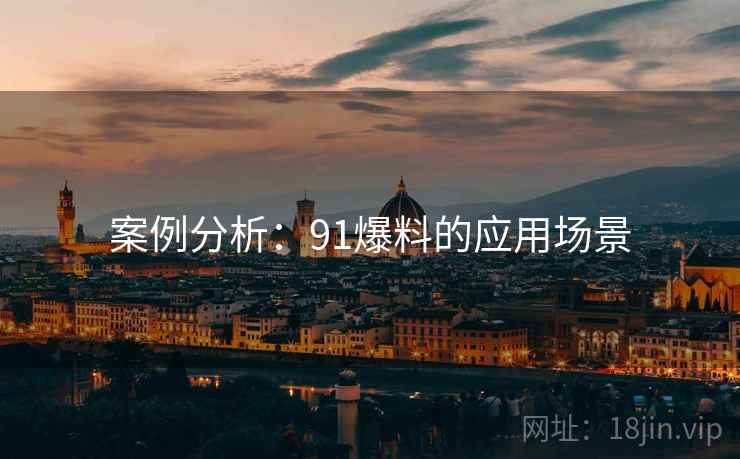 案例分析：91爆料的应用场景