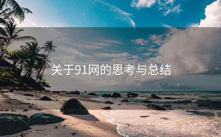 关于91网的思考与总结