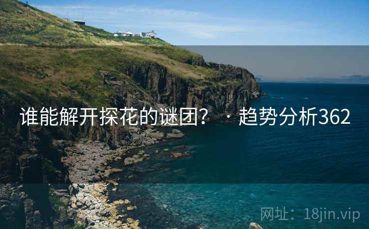 谁能解开探花的谜团？ · 趋势分析362