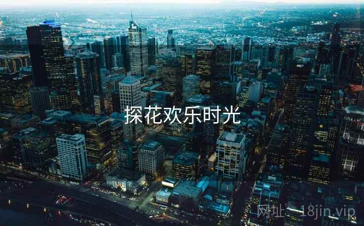 探花欢乐时光 第2张 探花欢乐时光 第2张