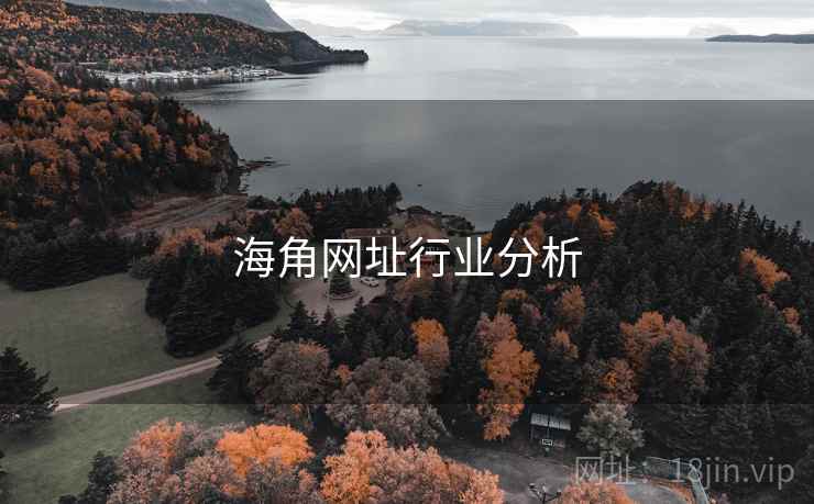 海角网址行业分析