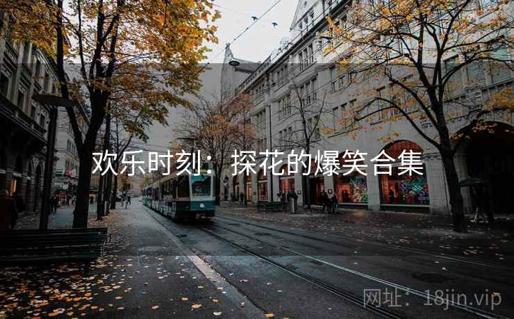 欢乐时刻：探花的爆笑合集