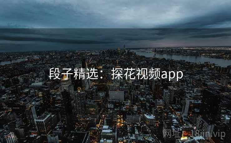 段子精选：探花视频app