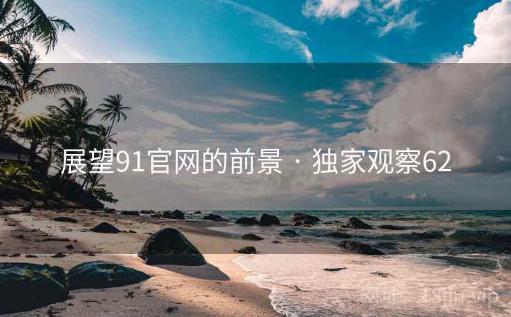 展望91官网的前景 · 独家观察62